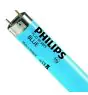 Philips MASTER TL-D 58W - Blau | 150cm